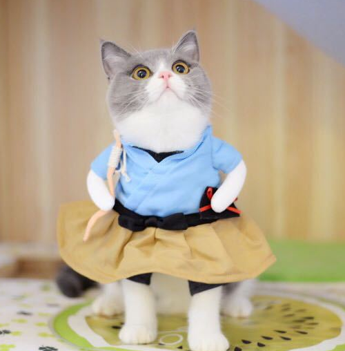 Pet Transformed Clothes  Halloween Pet Dress